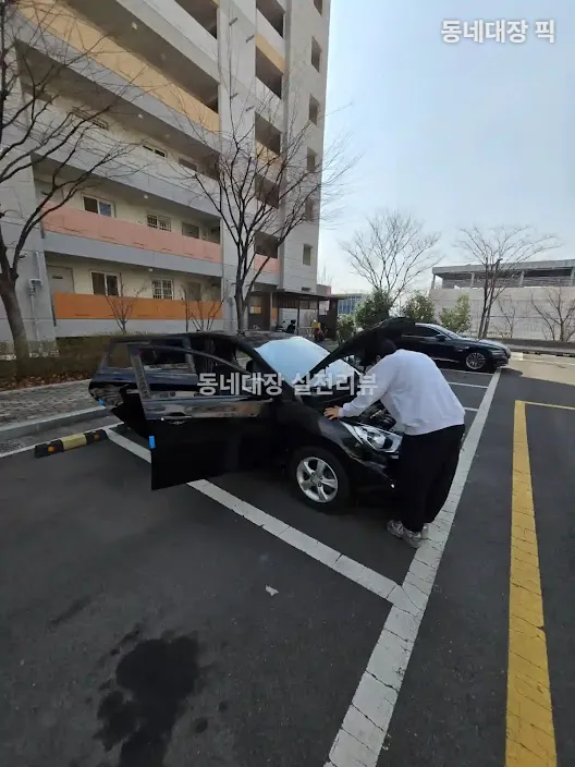 헤이딜러 중고차 판매 현장 차량 검수