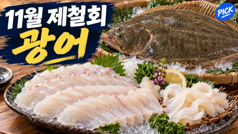 11월 제철 회 추천|광어가 맛있는 계절, 지느러미살·숙성회 고르는 법
