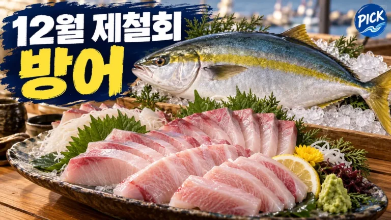 12월 제철 회 추천|방어·부시리 차이와 연말 모둠회 주문 체크 5가지
