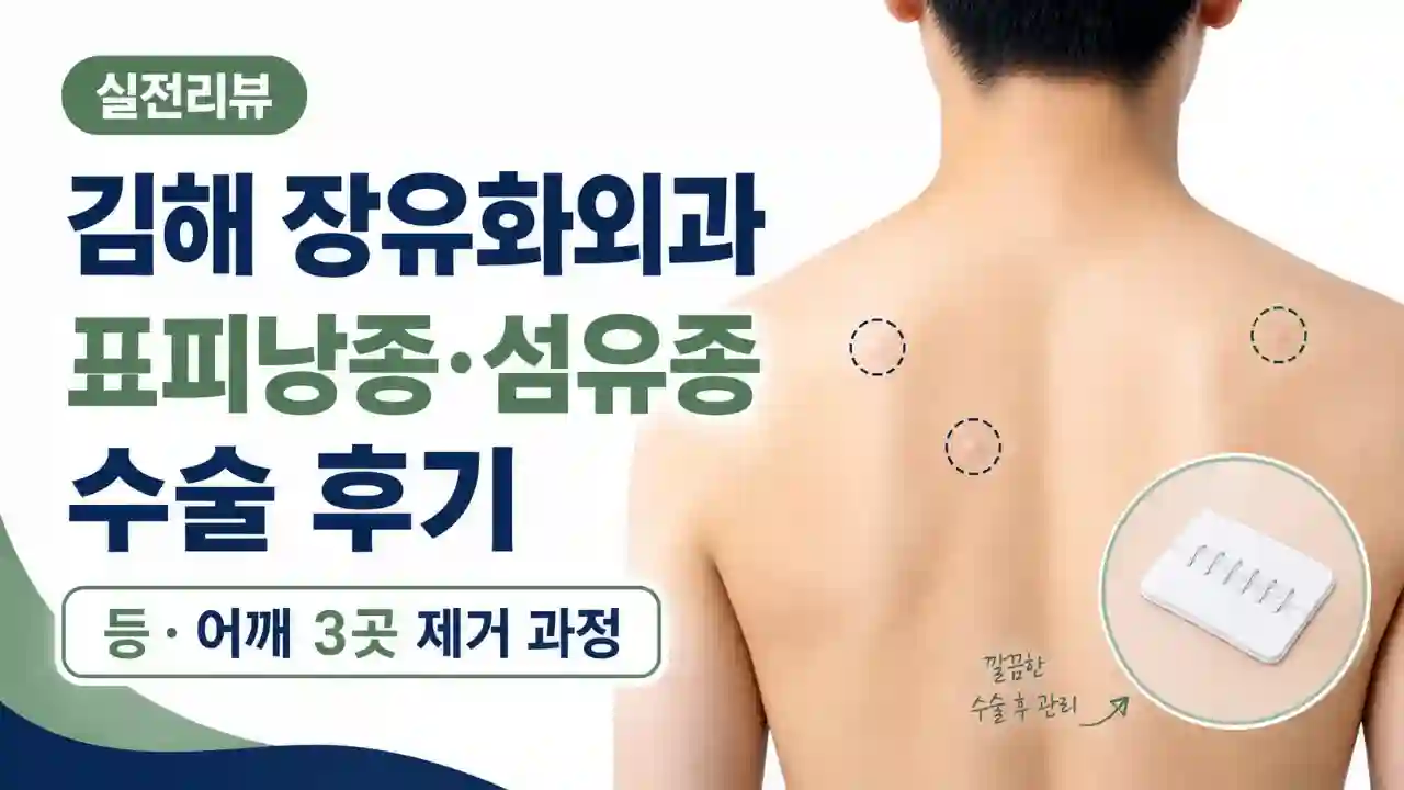 김해-장유화외과-표피낭종-섬유종-수술-후기
