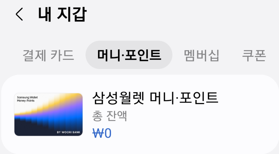 삼성월렛_머니_등록화면